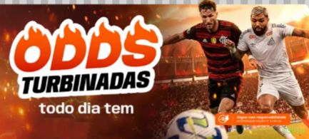 Guias de instalação da ssvip